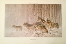 Fine Artwork On Sale Fine Artwork On Sale High Country Wolves - NRA Edition (Poster) 